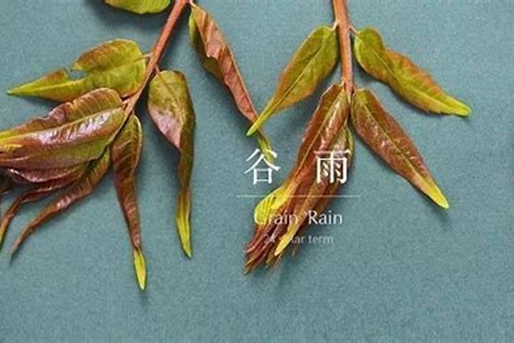 关于台前县算卦,谁被认为是最准的？