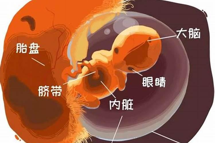 梦见大水淹路在水里走