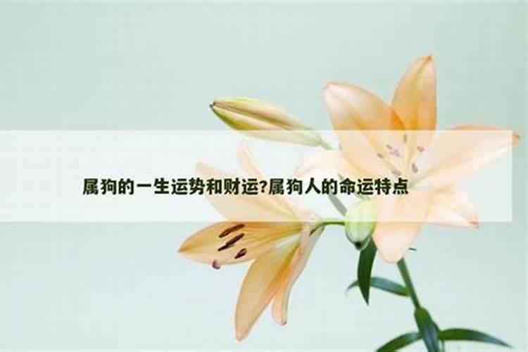 属狗人一生运程如何
