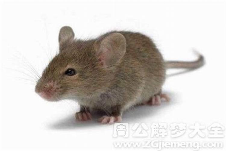 元宵节的传说与由来