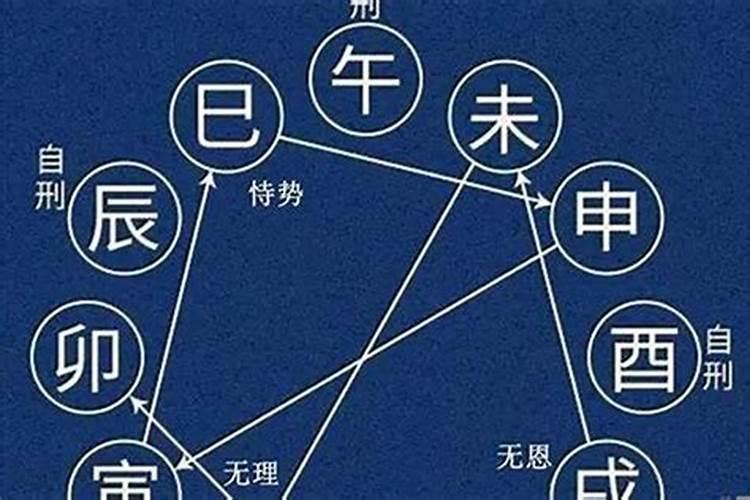 巳申合会发生什么事情