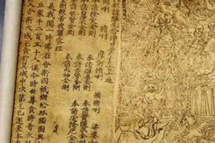 放生有什么讲究？