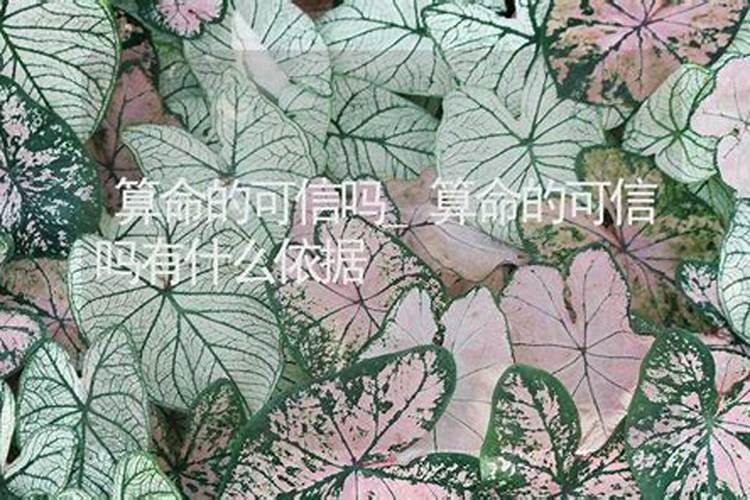 年轻人不要随便算命 为什么有的算命准到惊人？