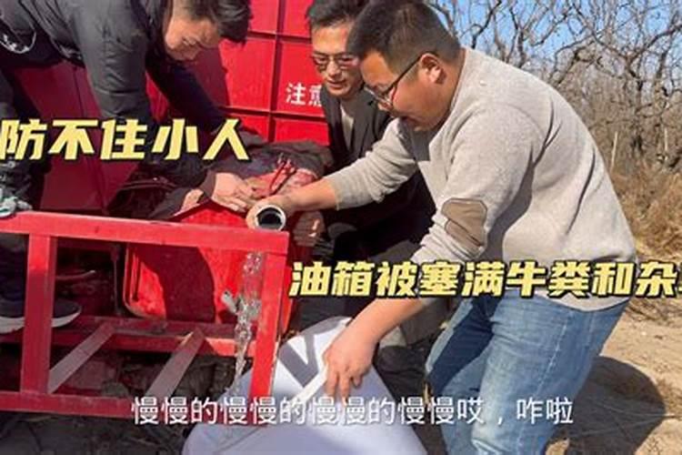 卜易居八字算命