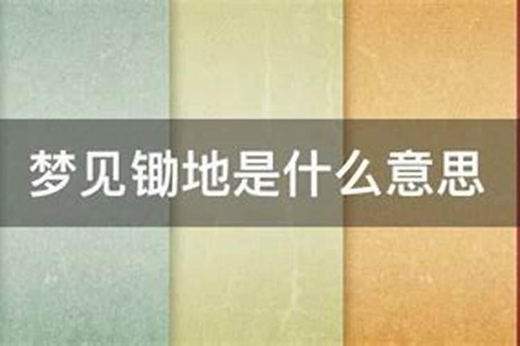 “ 日伏夜出 “ 猜一个生肖是什么生肖,回答后最好可以解释下百度知 ...
