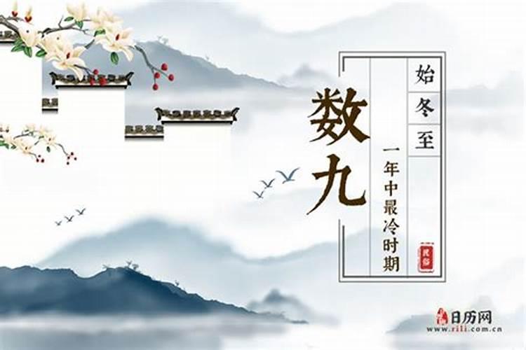 伏是什么 冬九九是什么