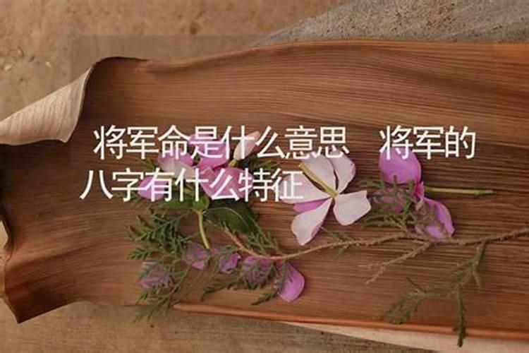 我儿子2008年农历10月14日11点半生是不是将军箭