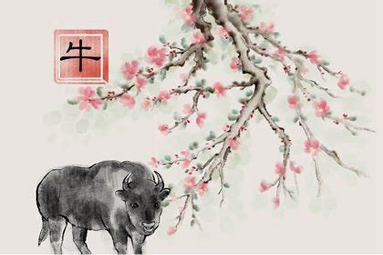 1997年都是水命吗,事业运怎么样？