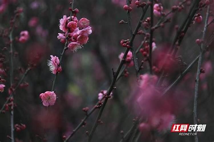 算命这种东西真的能信吗？  知乎