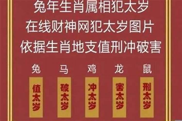 猪年冲蛇是不是属蛇的人今年运气不好
