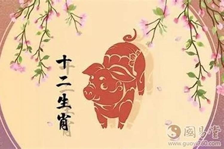 龙的贵人是什么生肖 猪年对属龙的好不好？