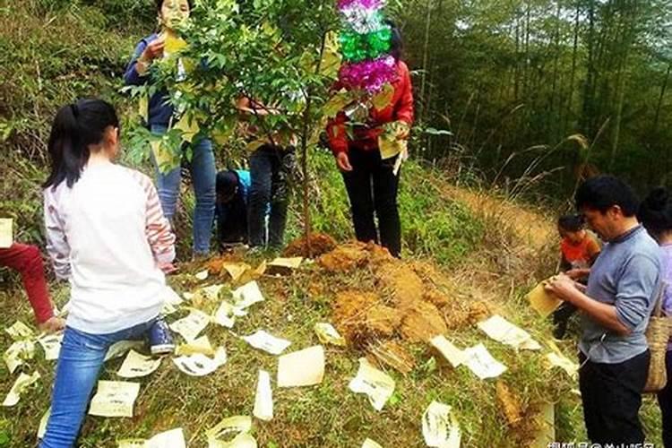 清明祭祖的规矩和仪式
