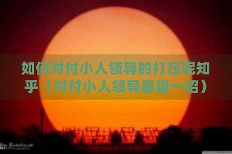 对付小人最狠一招命运