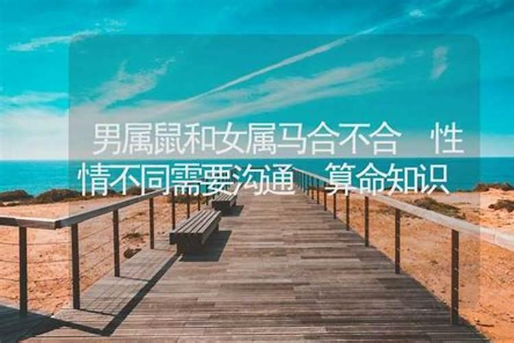 清明节的缅怀先烈怎么写要50字的？