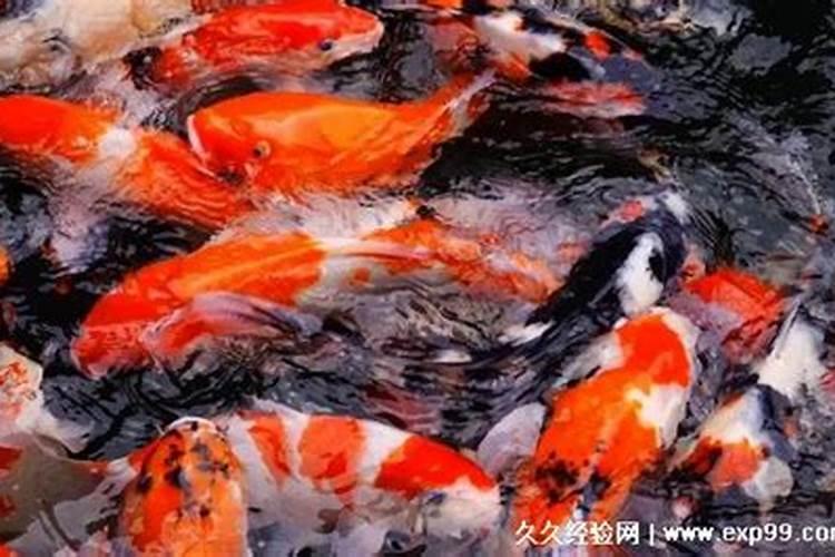 梦见叔要死了的预兆