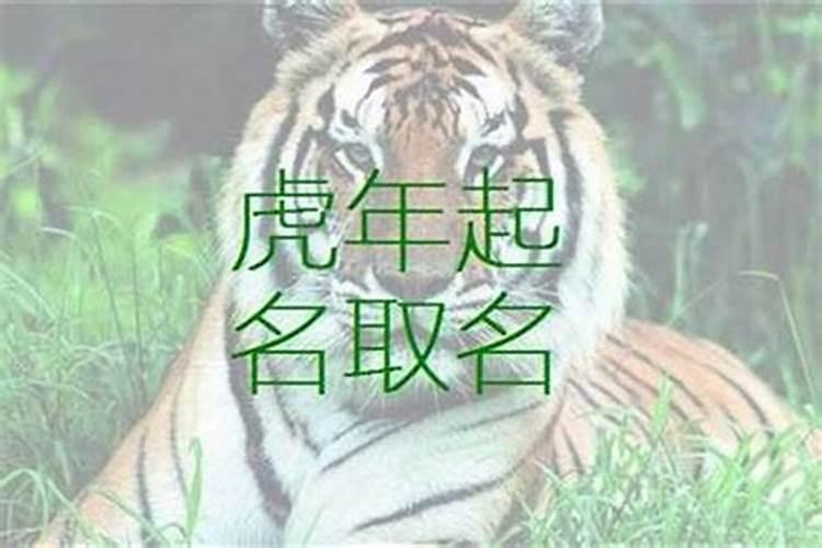 生肖虎取名,属虎的起名不宜用什么字·宜用什么字
