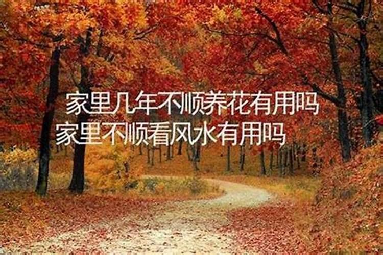 今年家里特别不顺,家人接二连三进医院,怎么办,急!!
