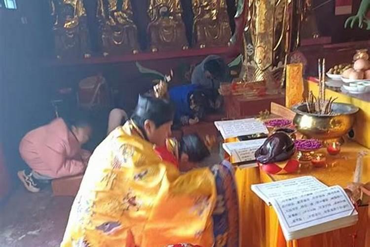 金文明个人简历