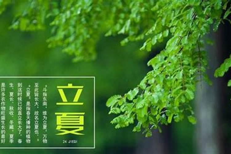 梦见儿子在前夫家受苦