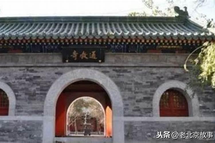 请问当尼姑在寺庙要做什么事,有规定吗