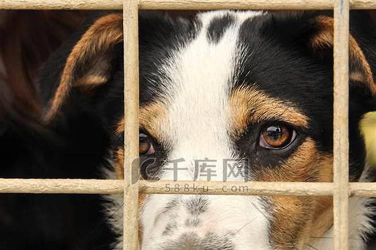 六年级下册语文第二课,腊八粥分几个部分,每部分讲了什么？