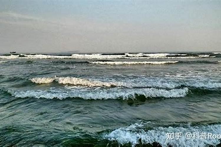 梦见海水涨潮后又退潮的预兆