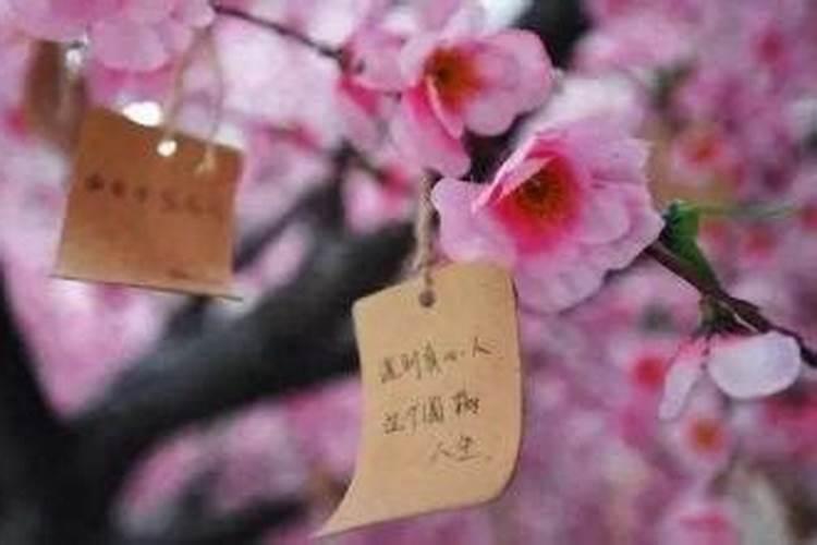 梦见自己孩子吃饭的预兆