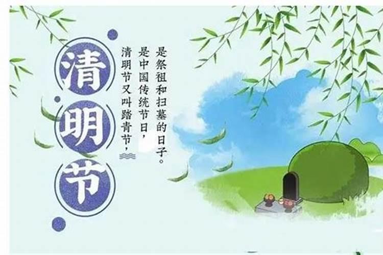 艾菲尔 十二生肖冬至节气运势分析12.2112.27