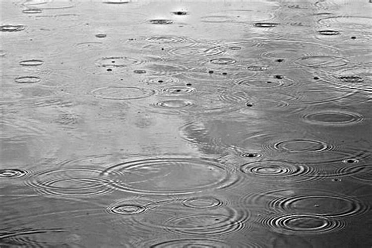 梦见地上都是雨水什么意思