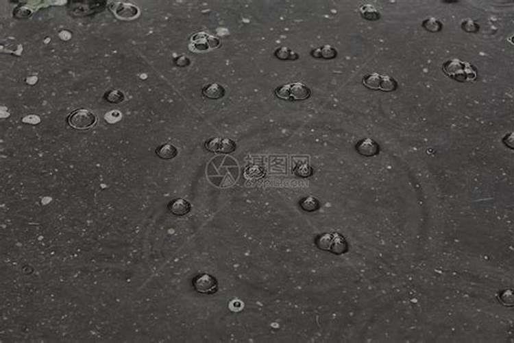梦见梦遍地是雨水的预兆