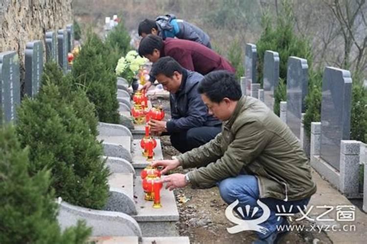 梦见成熟的玉米地的预兆