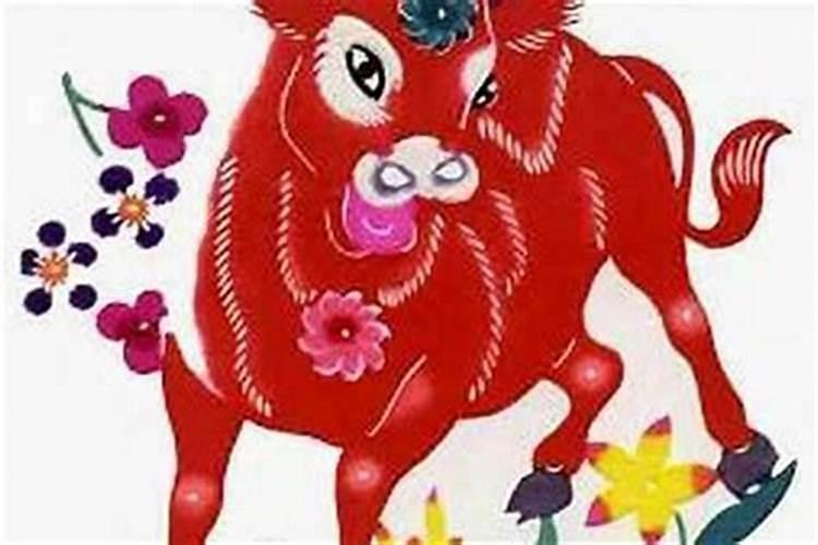 牛和狗是上等婚配吗两人属相相刑