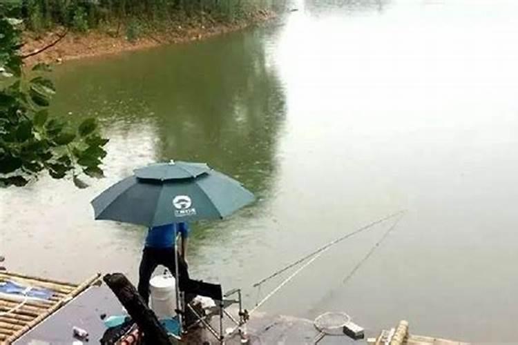 清明钓鱼什么时间段最好
