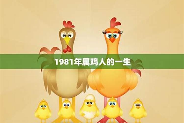 属兔男人和属鸡女人相配吗