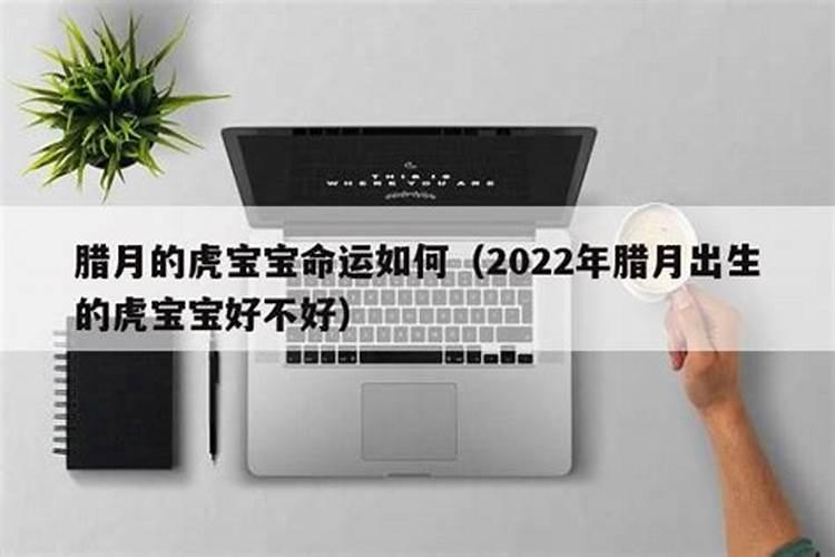 腊月的老虎命运如何 腊月出生的属虎人运势好吗