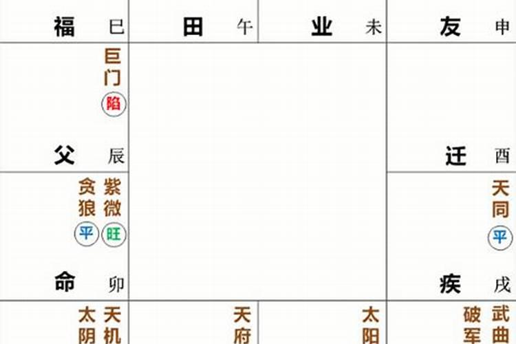命宫主星:紫微贪狼 是什么意思？