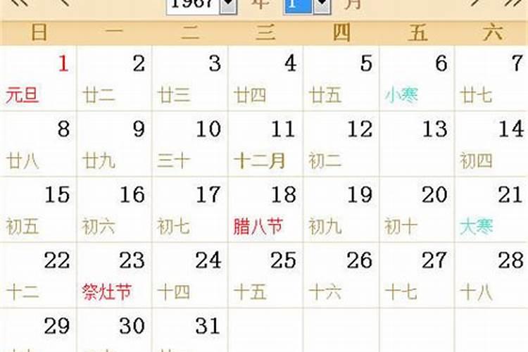 立冬代表那几个生肖？