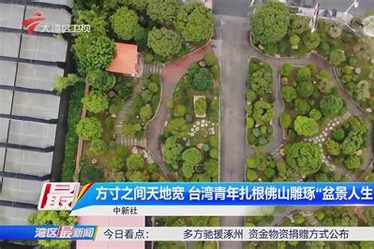 重阳节登高广州风云岭森林公园要门票？