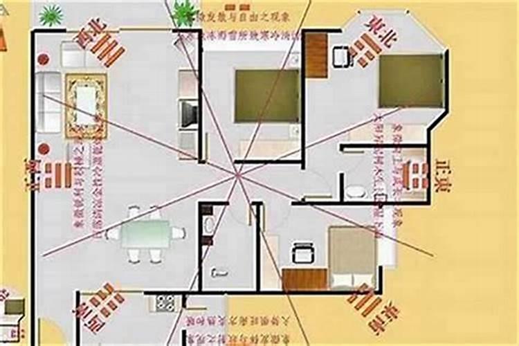 如何查自己的财库