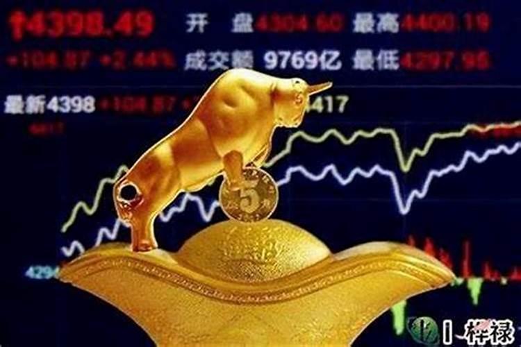 怎么查自己有没有财库
