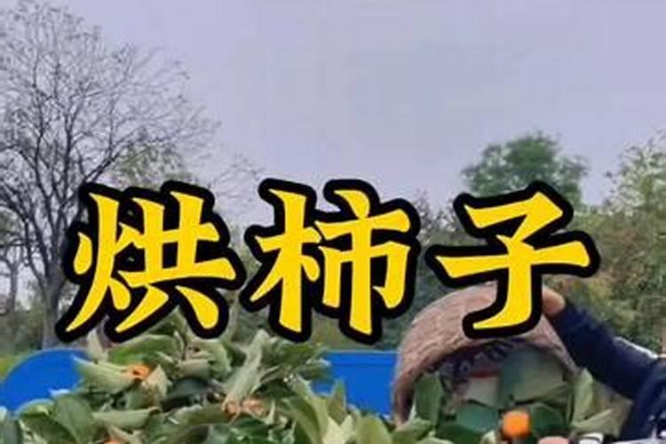 梦见额头长满豆豆的预兆