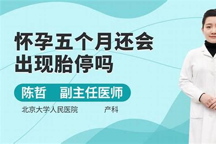 孕11周后胎停几率大吗