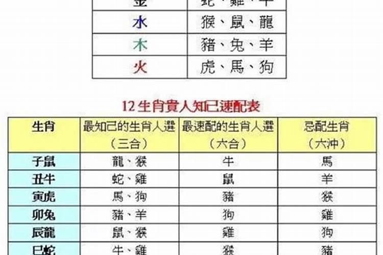 腊月二十是什么日子好不好