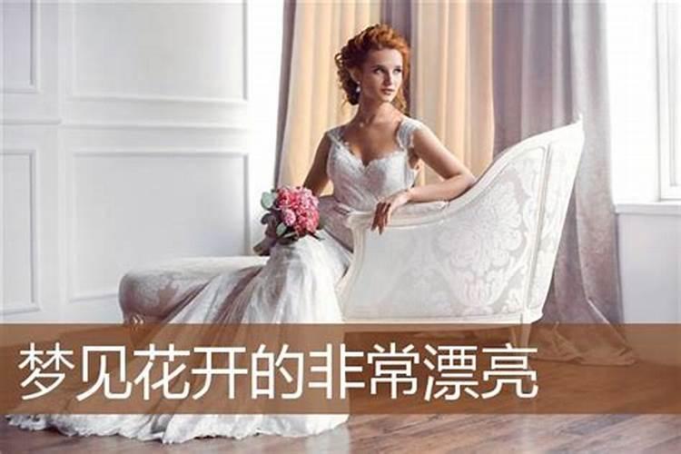 梦见在水里看见红色的鱼的预兆