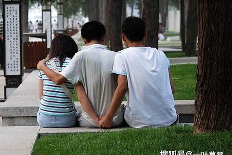 两辛合一丙是争合还是妒合