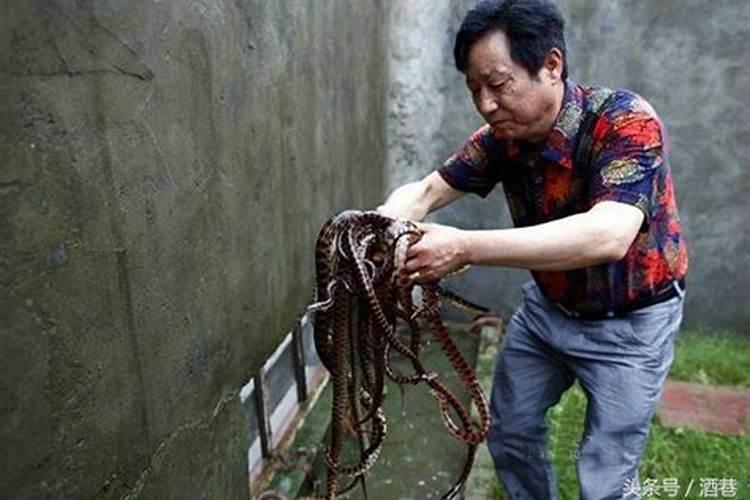 梦到被杀是什么意思