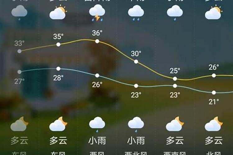 2025属蛇的全年运势运程 属蛇人2025年每月运势