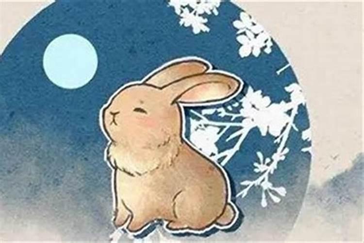 夏至节气的寓意和传统