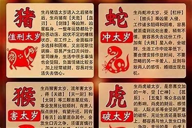 2025年蛇年犯太岁的四个属相怎么化解