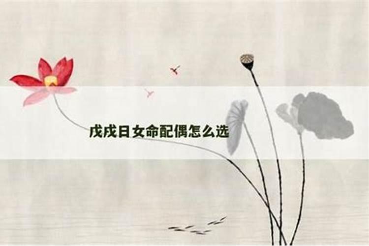 从八字日柱看婚姻